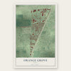 Orange Grove, Harris County, Texas map print, the full design