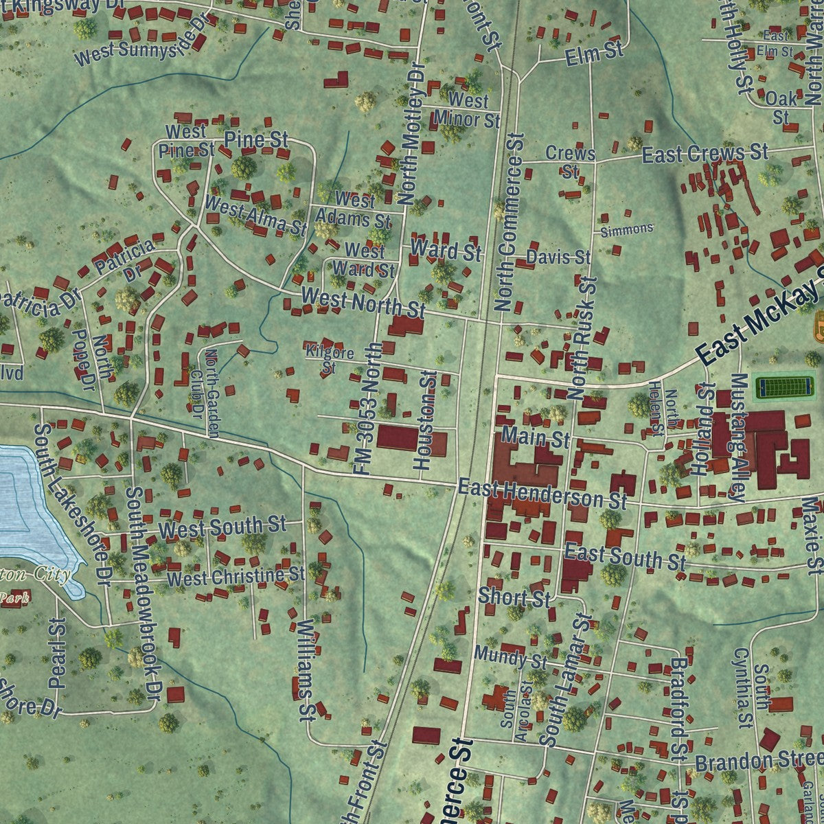 Close-up of the map of Overton, Texas print showing street and building detail