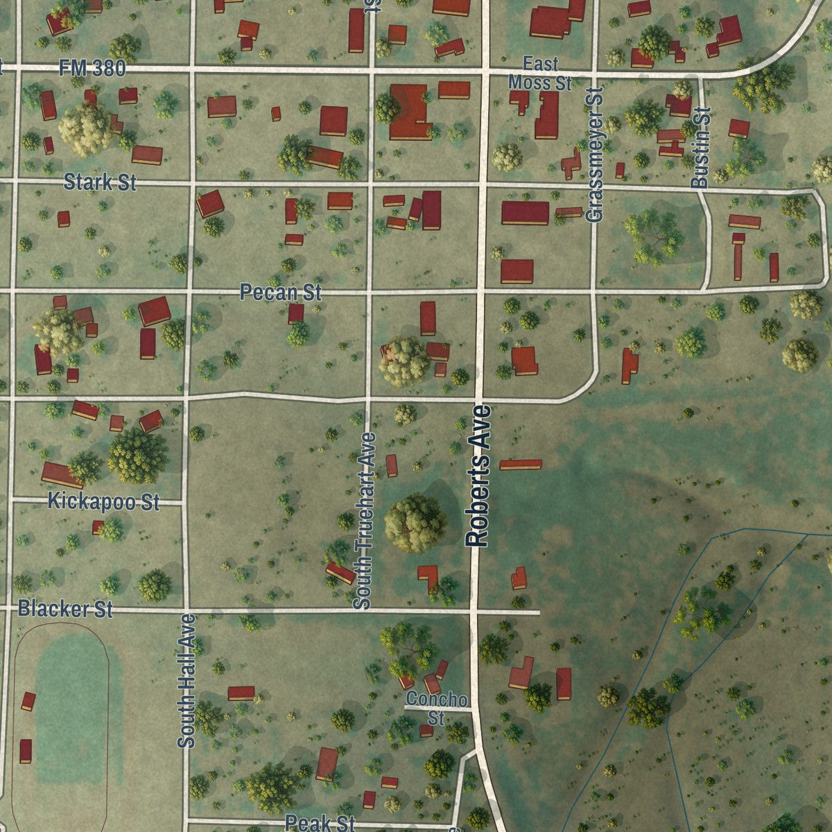 Close-up of the map of Paint Rock, Texas print showing street and building detail