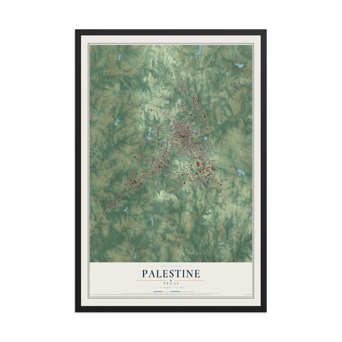 Map of Palestine, Texas, 12 x 18 inch print in a black wood frame