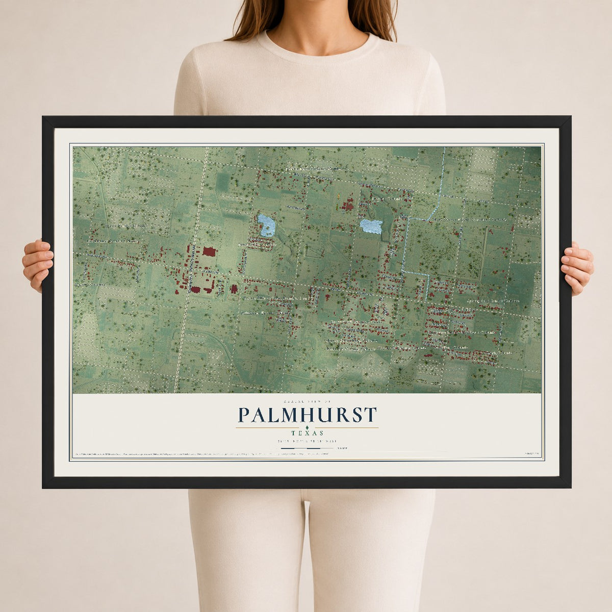 Map of Palmhurst, Texas, 24 x 36 inch print in a black wood frame