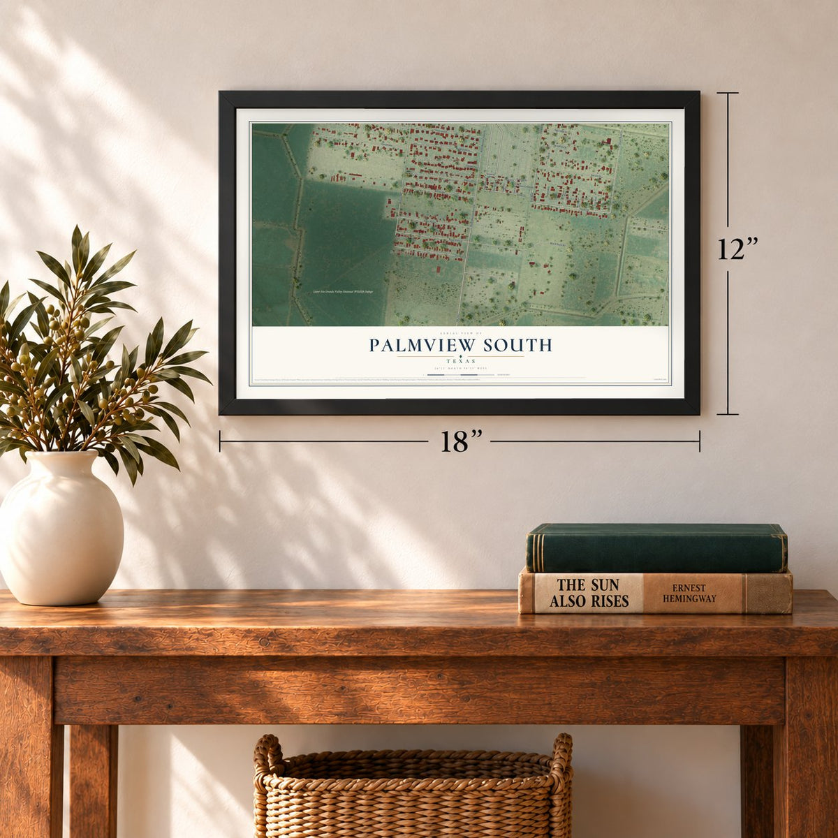 Palmview South, Texas map, 12 x 18 inch print in a black frame in an entryway