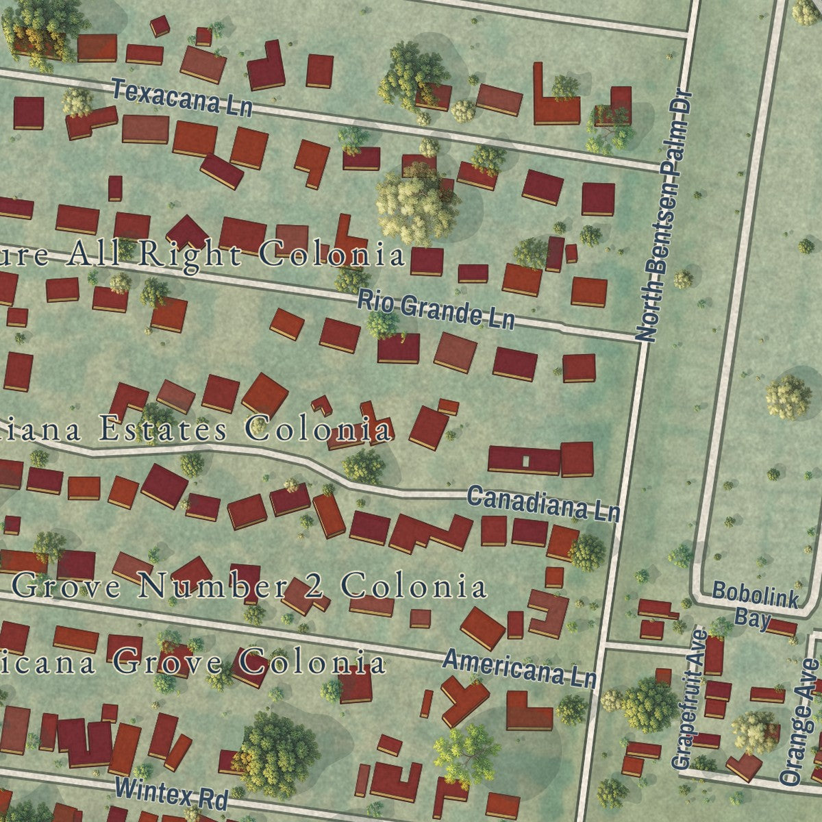 Close-up of the map of Palmview South, Texas print showing street and building detail