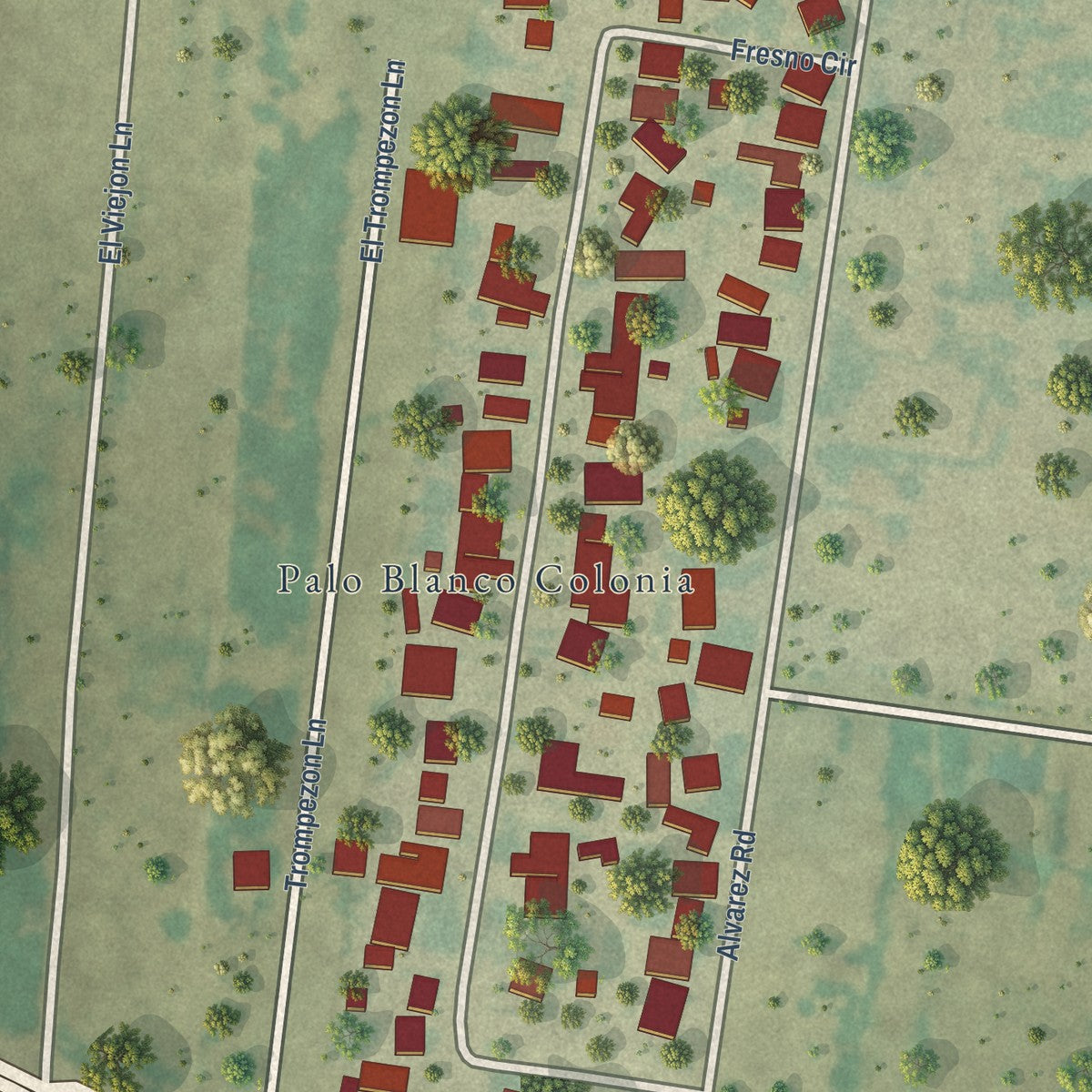 Close-up of the map of Palo Blanco, Texas print showing street and building detail