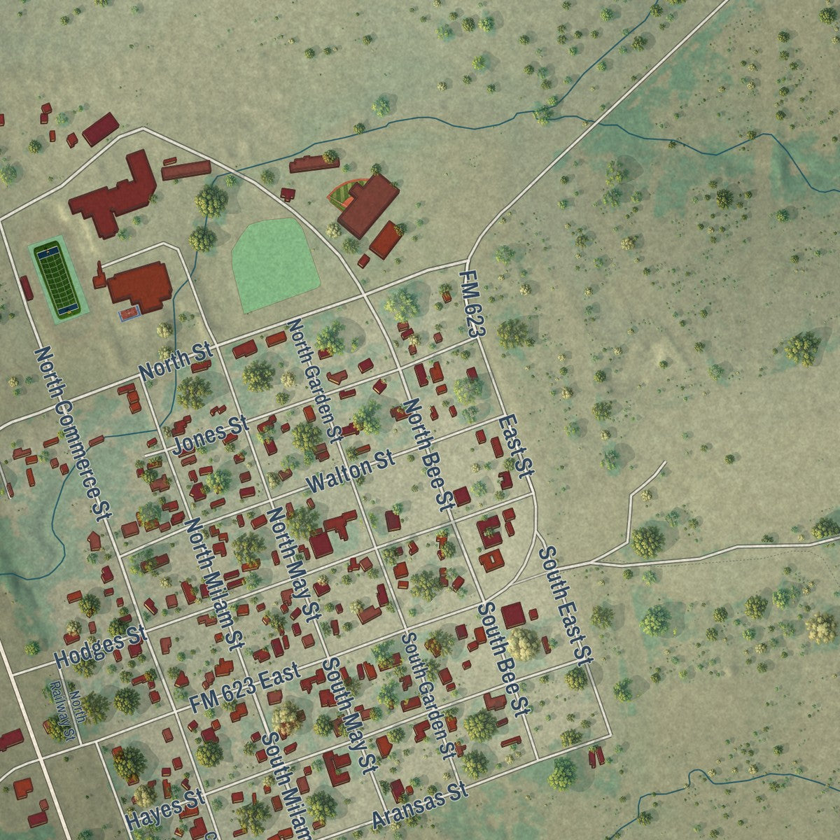 Close-up of the map of Pettus, Texas print showing street and building detail