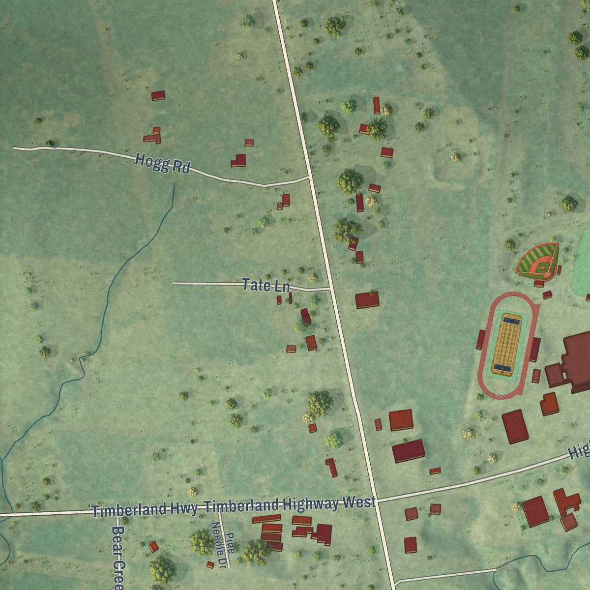 Second close-up of the map of Pineland, Texas print showing more streets and buildings