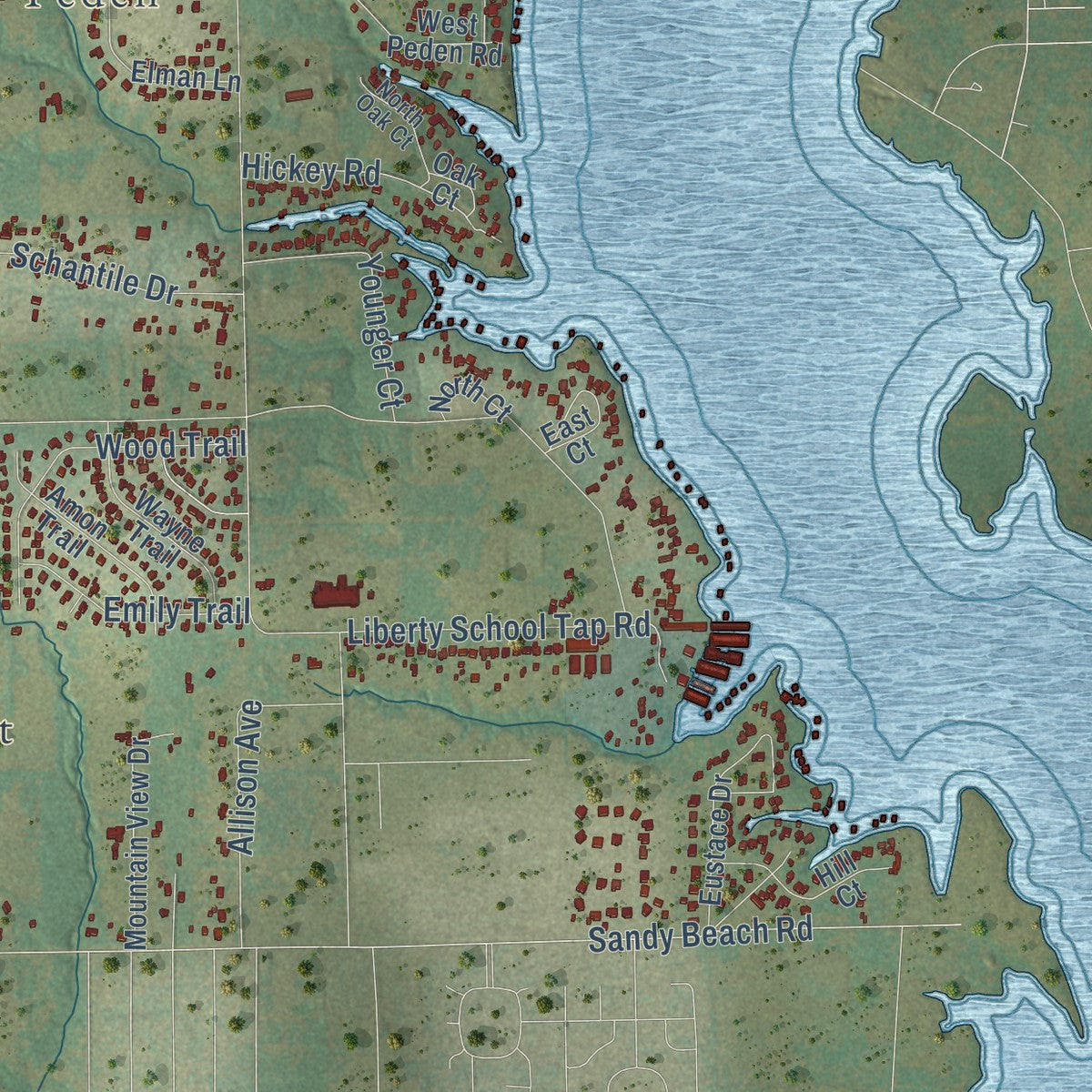 Close-up of the map of Briar, Texas print showing street and building detail