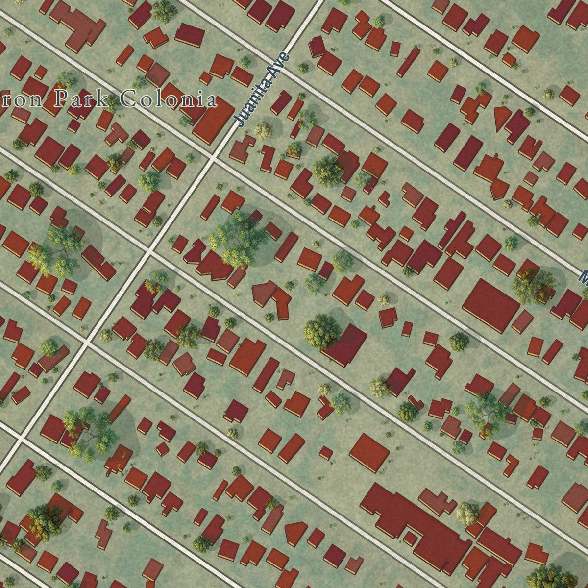 Close-up of the map of Cameron Park, Texas print showing street and building detail