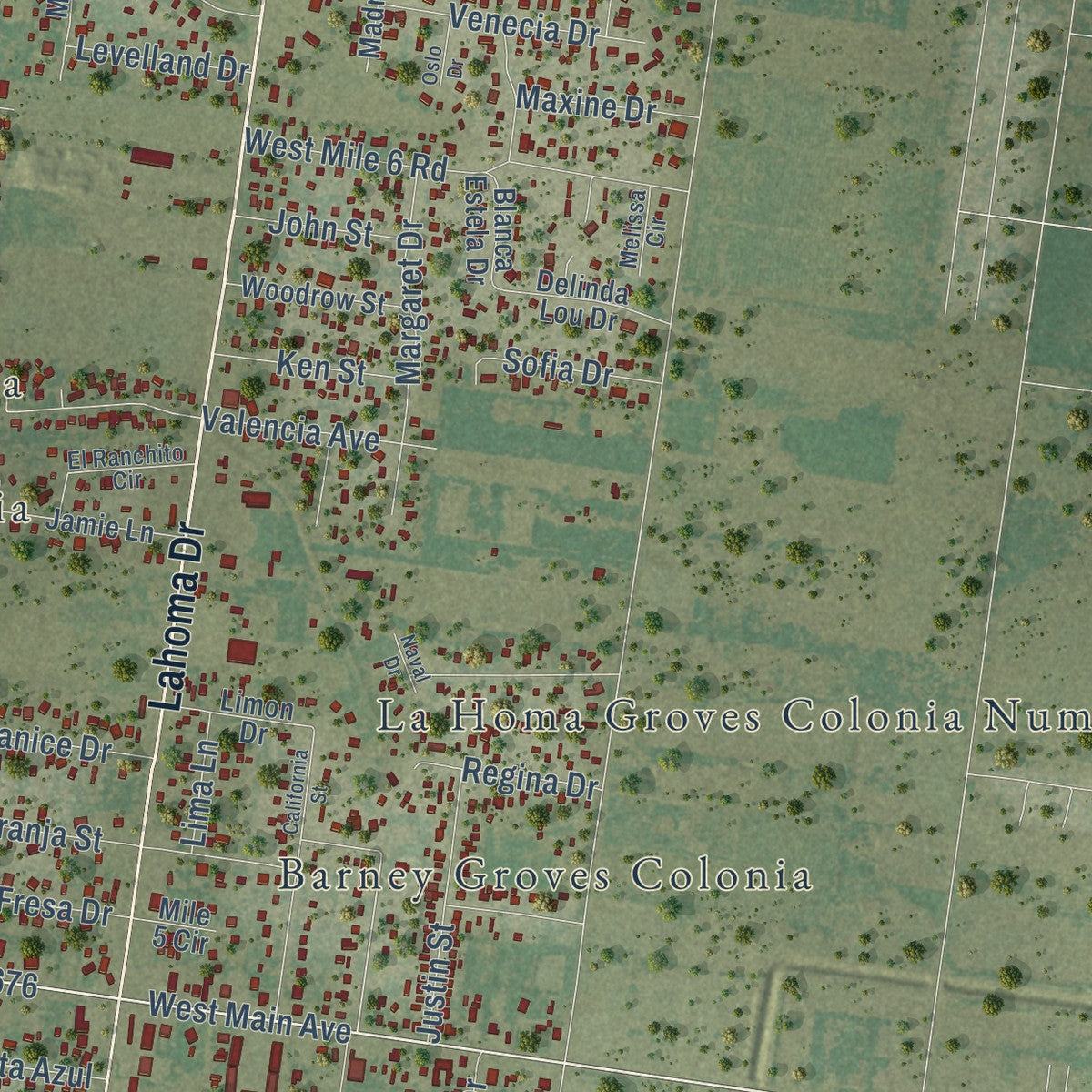 Second close-up of the map of La Homa, Texas print showing more streets and buildings