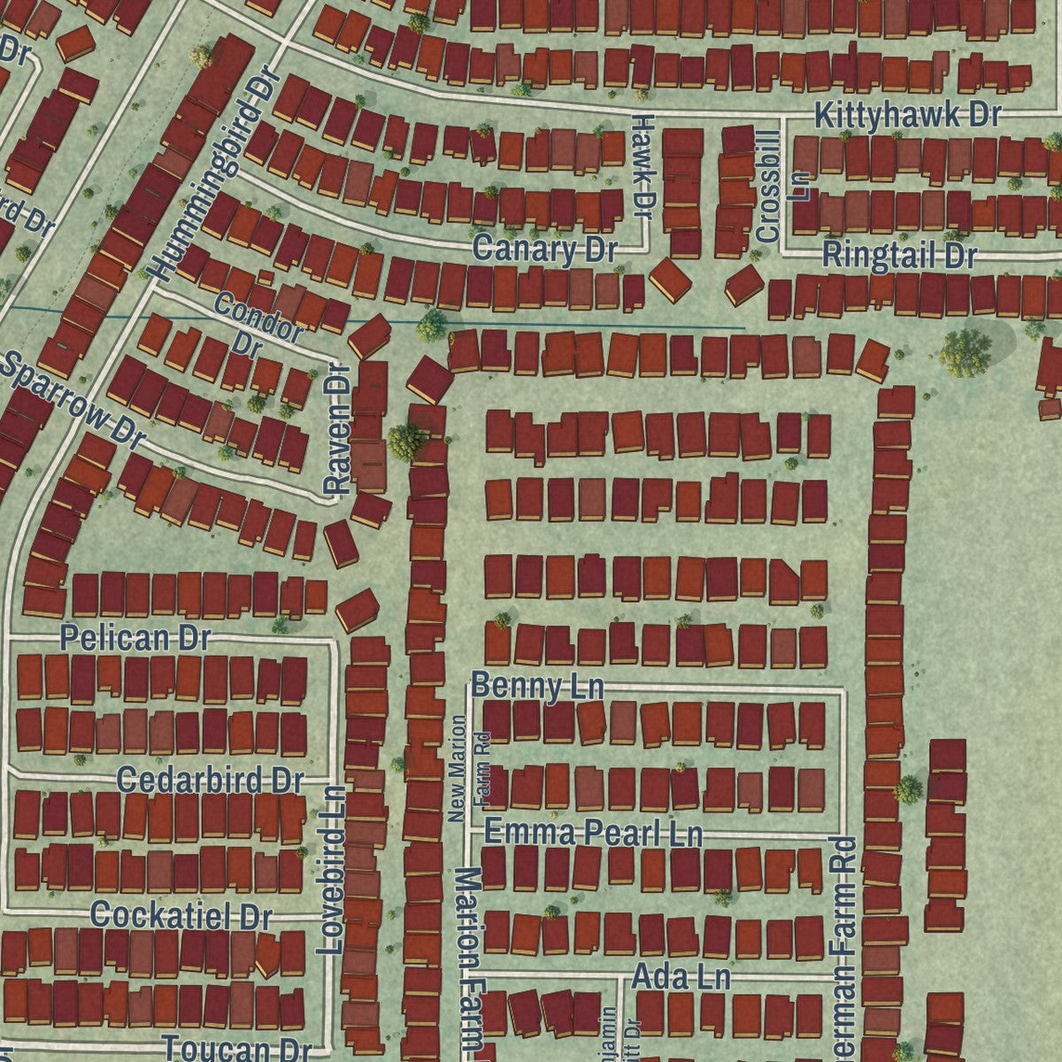 Close-up of the map of Paloma Creek South, Texas print showing street and building detail