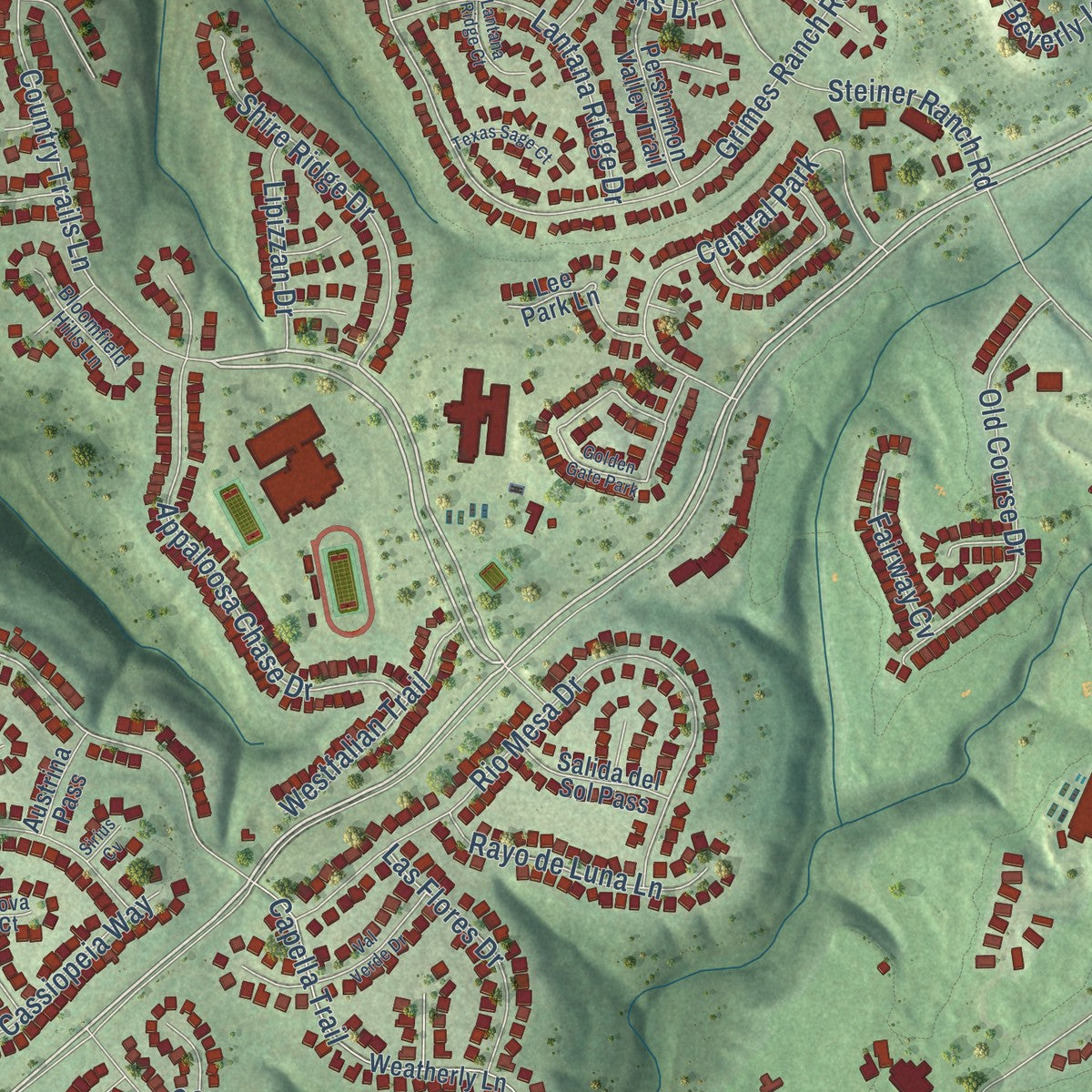 Close-up of the map of Steiner Ranch, Texas print showing street and building detail
