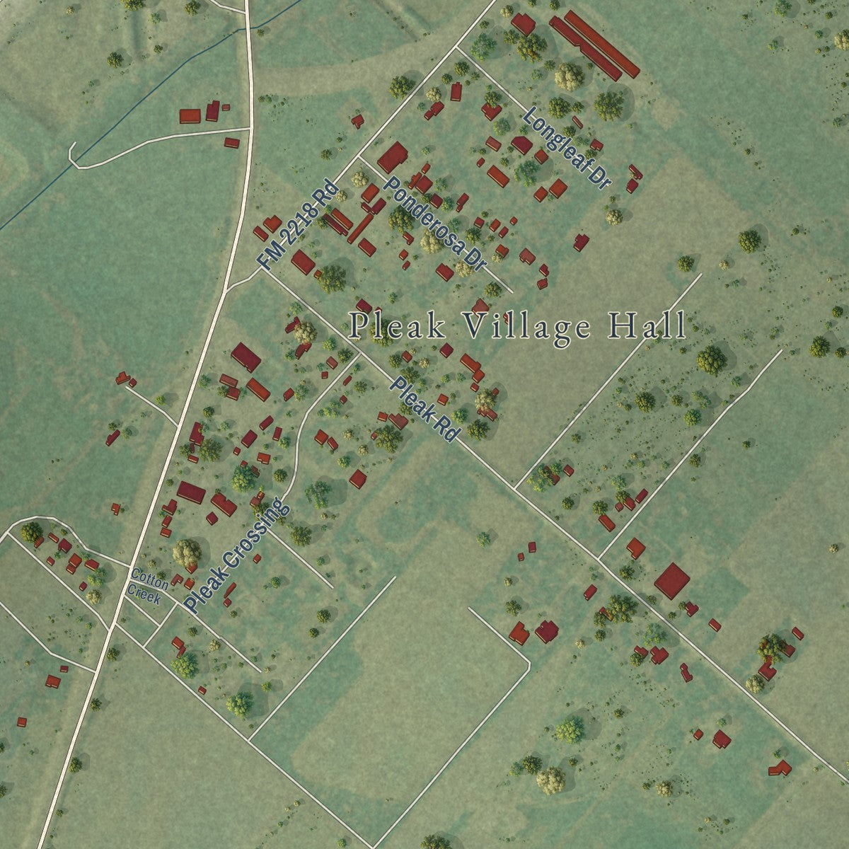 Second close-up of the map of Pleak, Texas print showing more streets and buildings