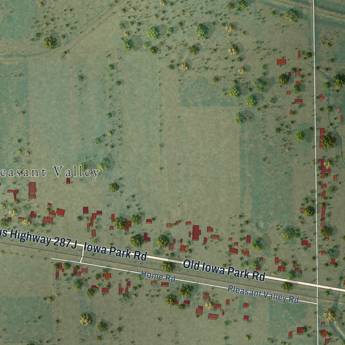 Close-up of the map of Pleasant Valley, Texas print showing street and building detail