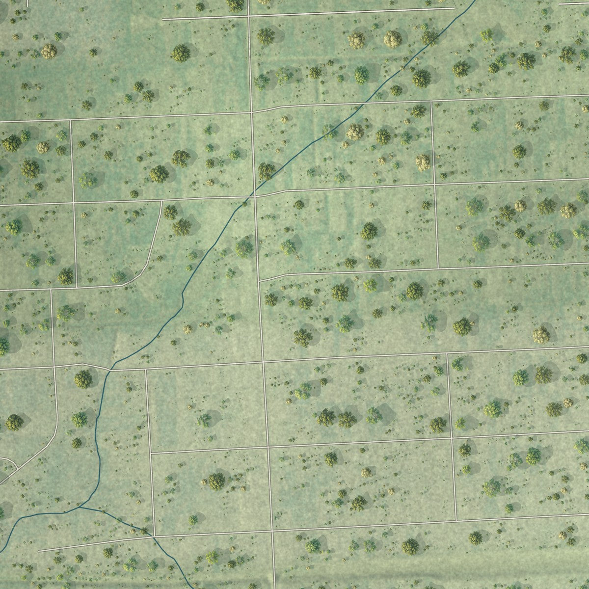 Second close-up of the map of Plum Grove, Texas print showing more streets and buildings