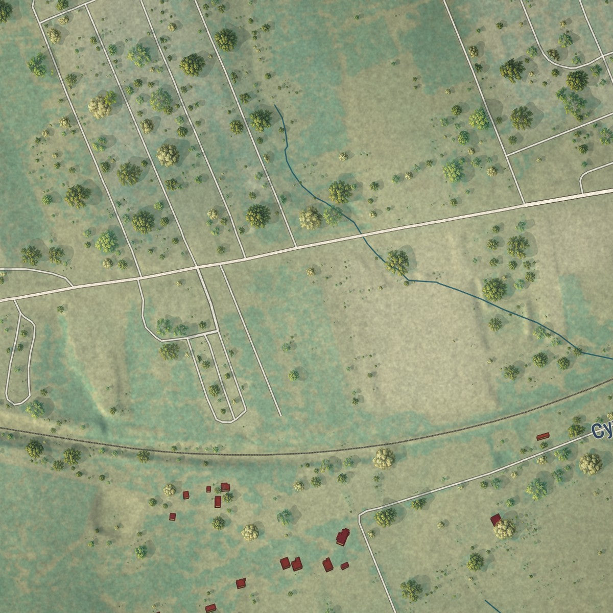 Close-up of the map of Praesel, Texas print showing street and building detail