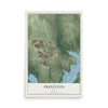 Map of Princeton, Texas, 12 x 18 inch unframed archival matte print