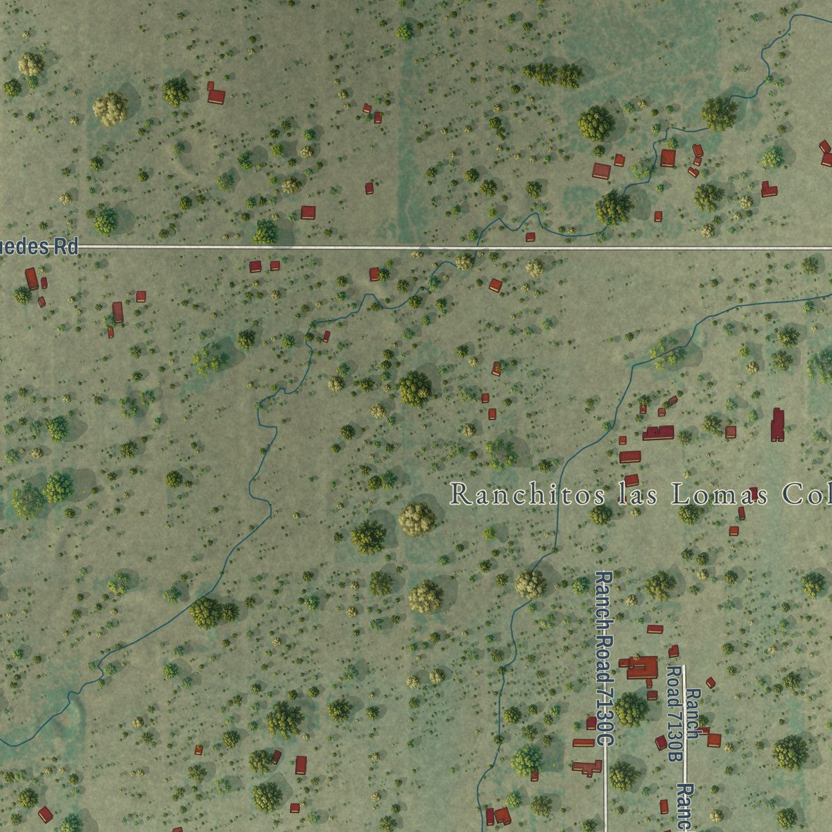 Close-up of the map of Ranchitos Las Lomas, Texas print showing street and building detail