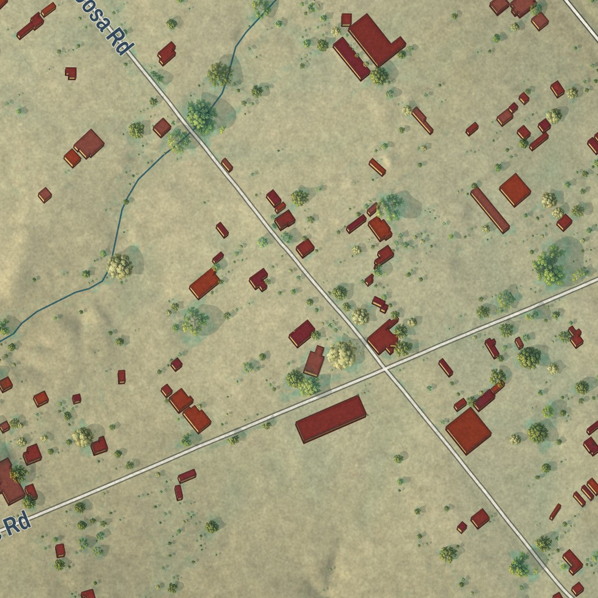 Close-up of the map of Ranchos Penitas West, Texas print showing street and building detail