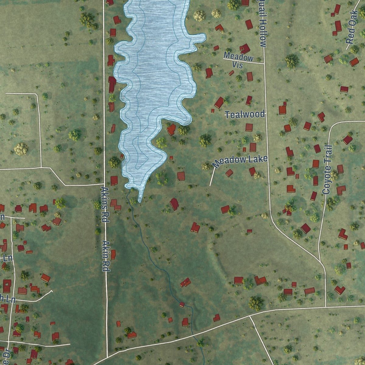 Close-up of the map of Red Lick, Texas print showing street and building detail