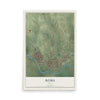 Map of Roma, Texas, 12 x 18 inch unframed archival matte print