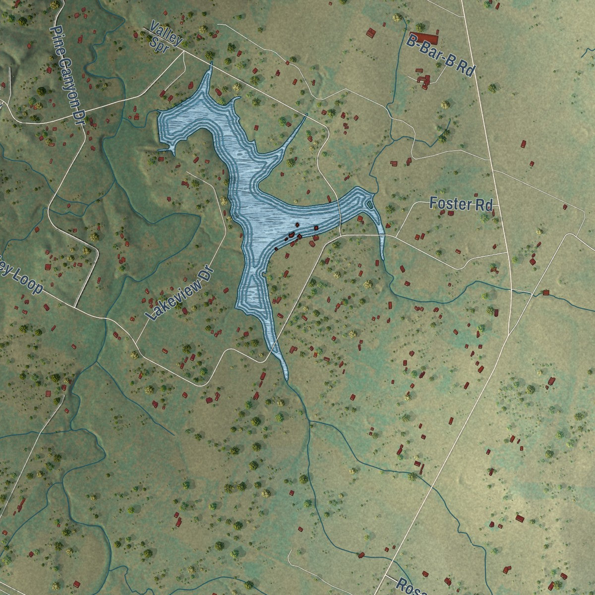 Close-up of the map of Rosanky, Texas print showing street and building detail