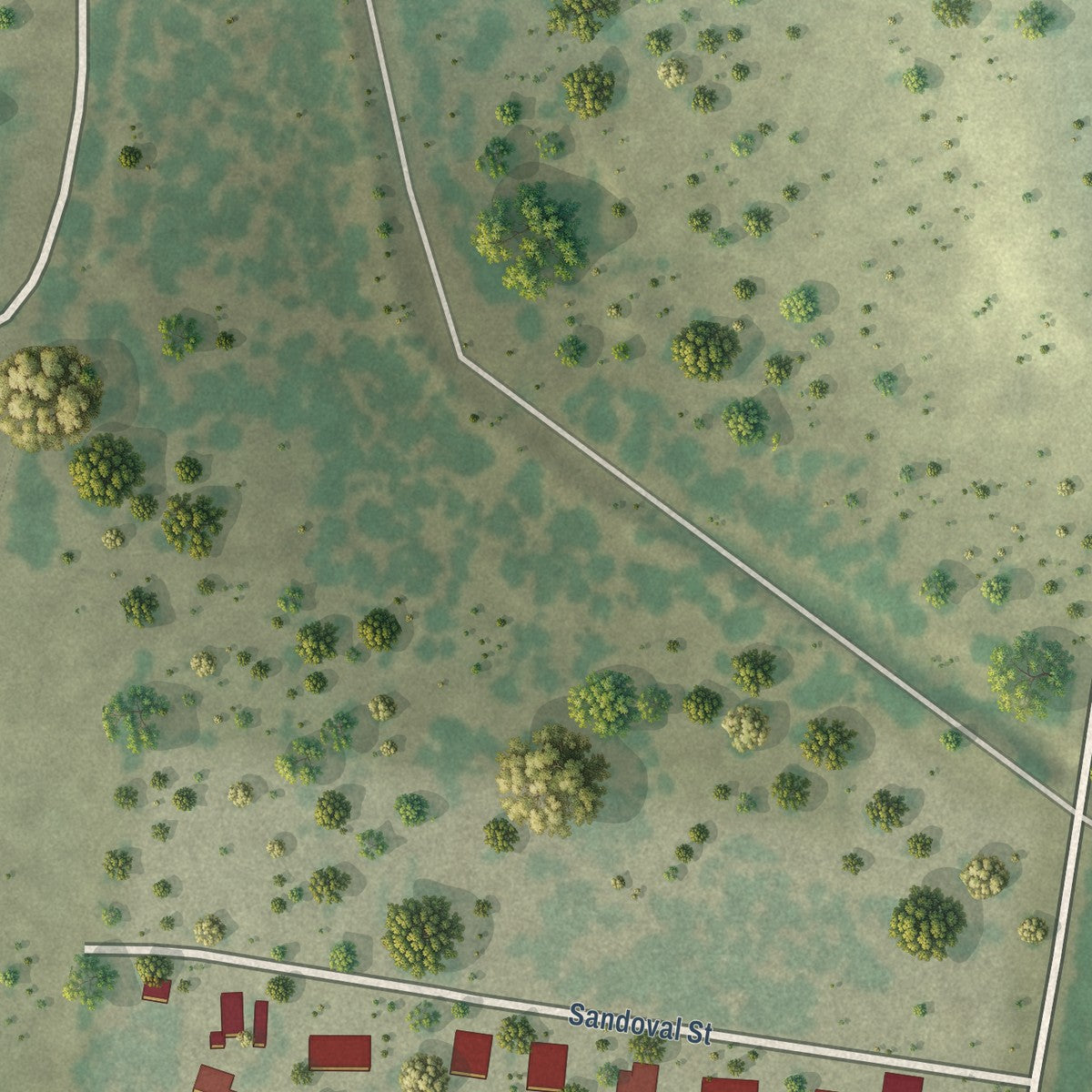 Close-up of the map of Sandoval, Texas print showing street and building detail