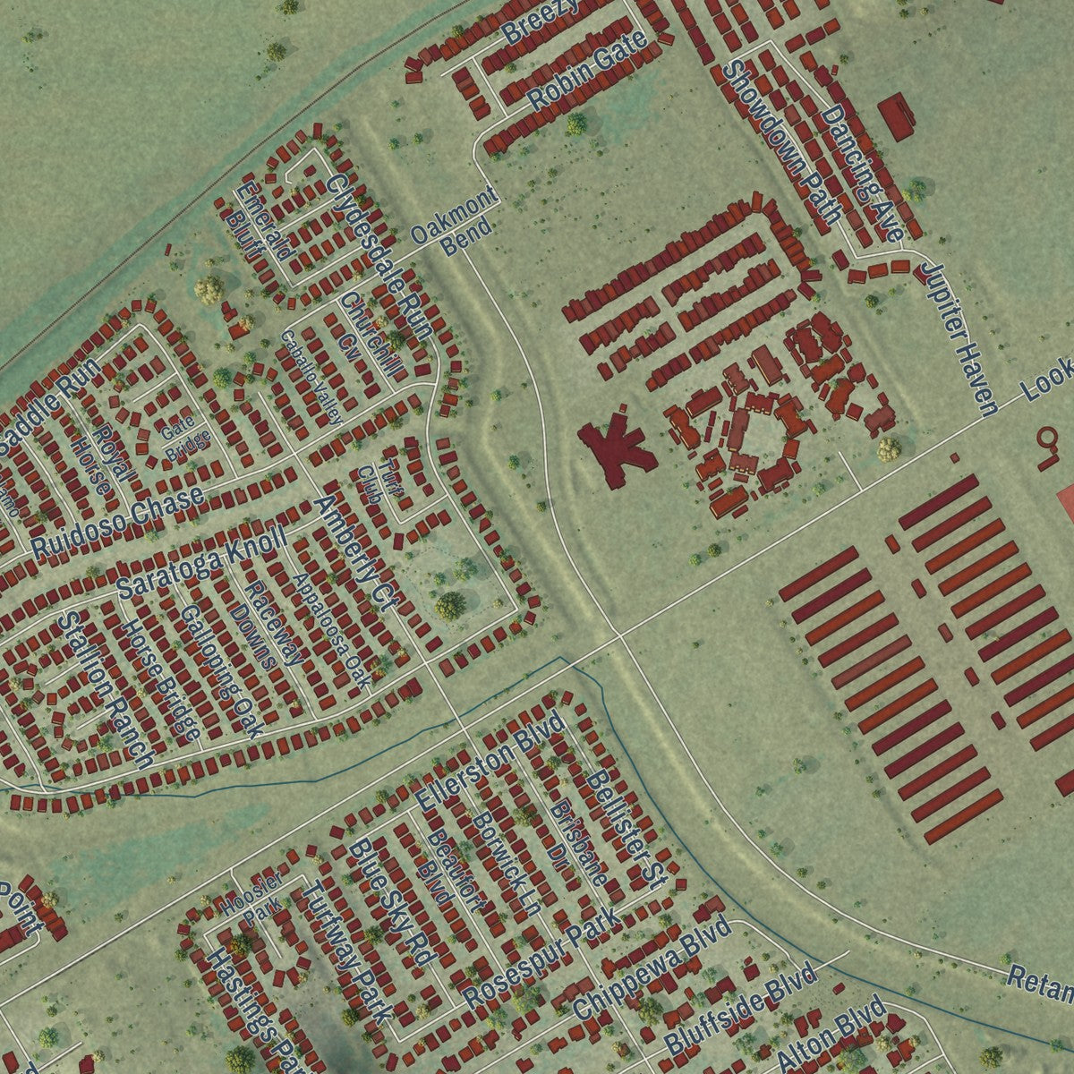 Close-up of the map of Selma, Texas print showing street and building detail