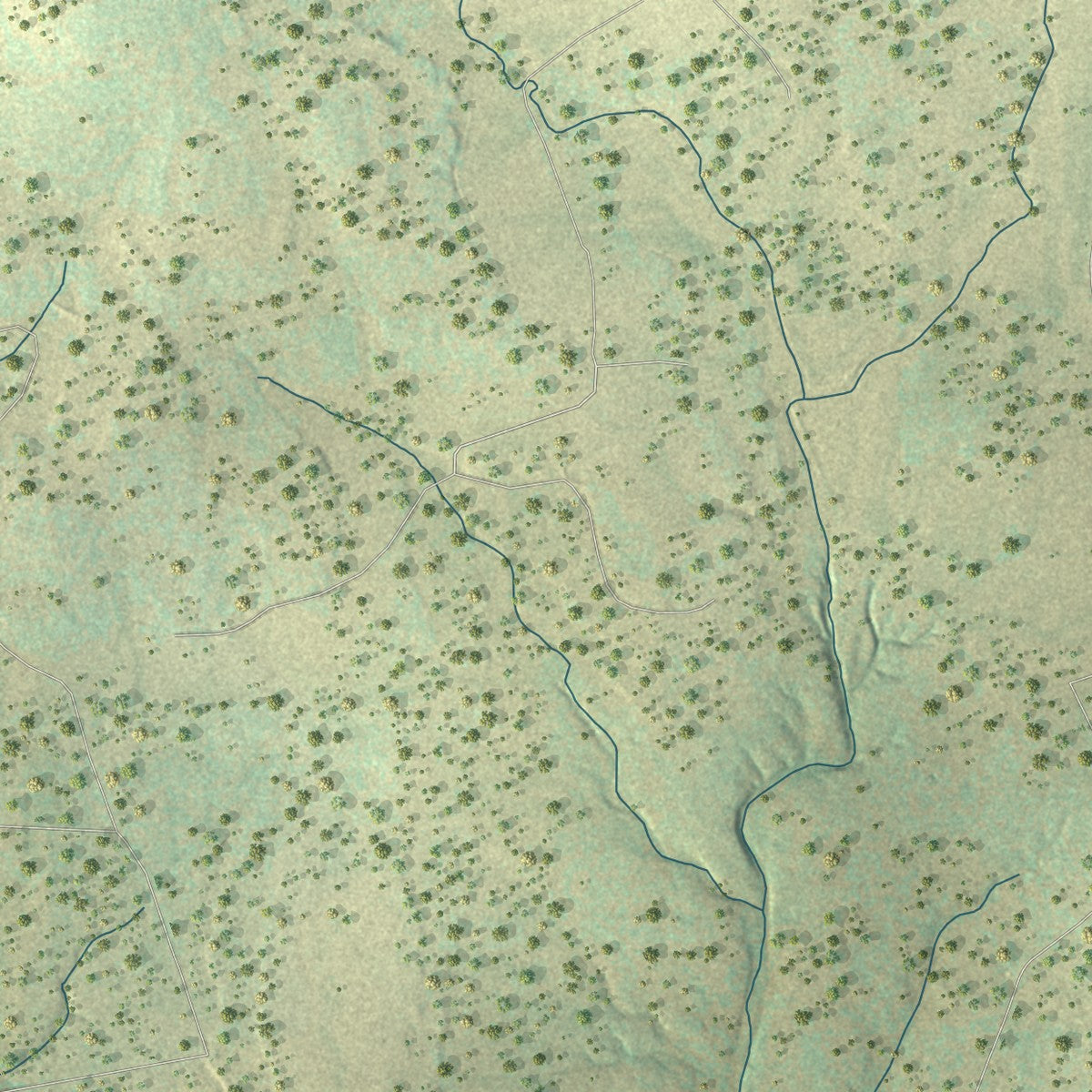 Second close-up of the map of Spring Branch, Texas print showing more streets and buildings