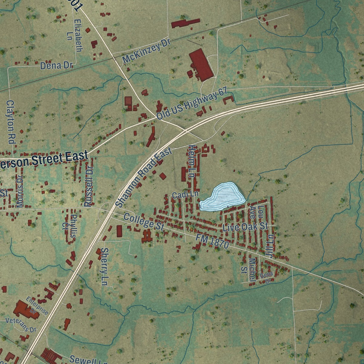 Second close-up of the map of Sulphur Springs, Texas print showing more streets and buildings