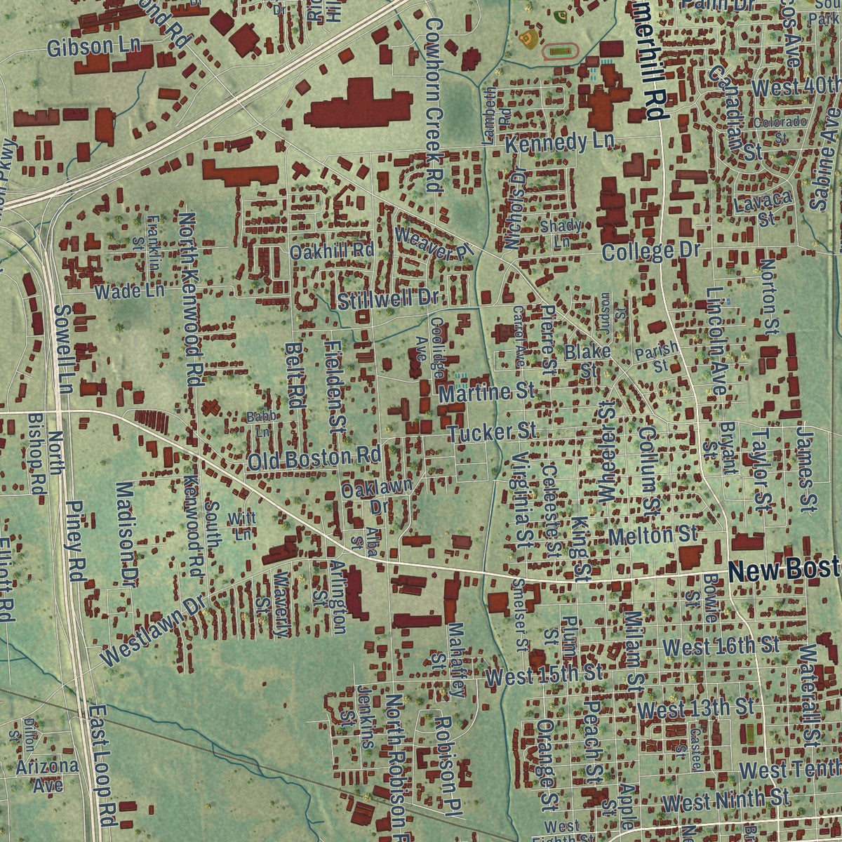 Close-up of the map of Texarkana, Texas print showing street and building detail
