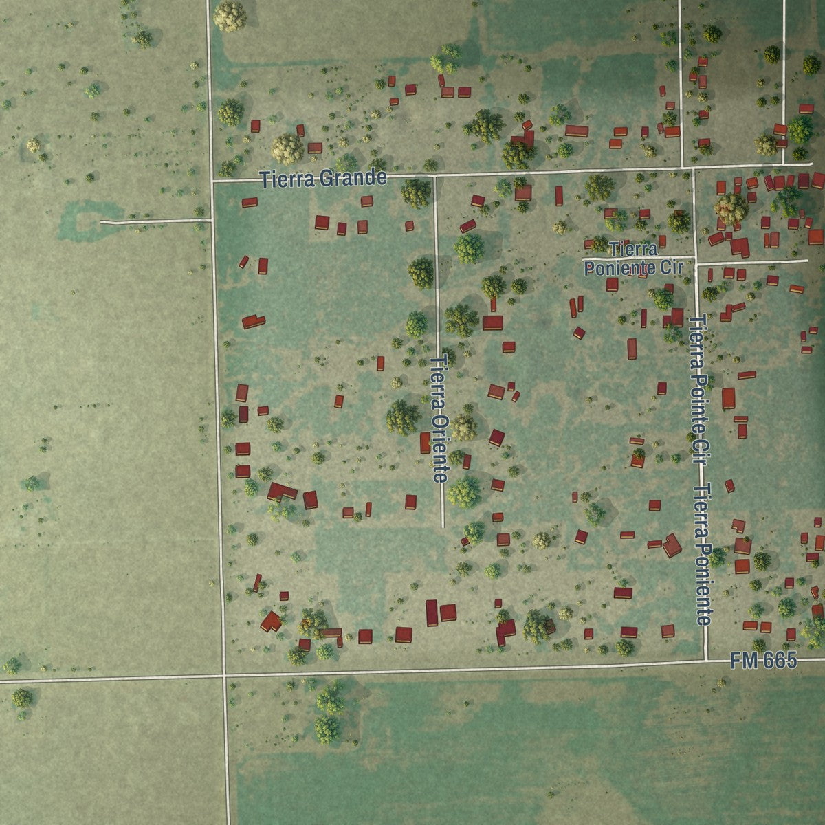 Close-up of the map of Tierra Grande, Texas print showing street and building detail