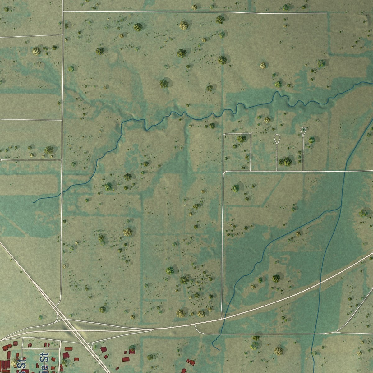 Second close-up of the map of Trenton, Texas print showing more streets and buildings
