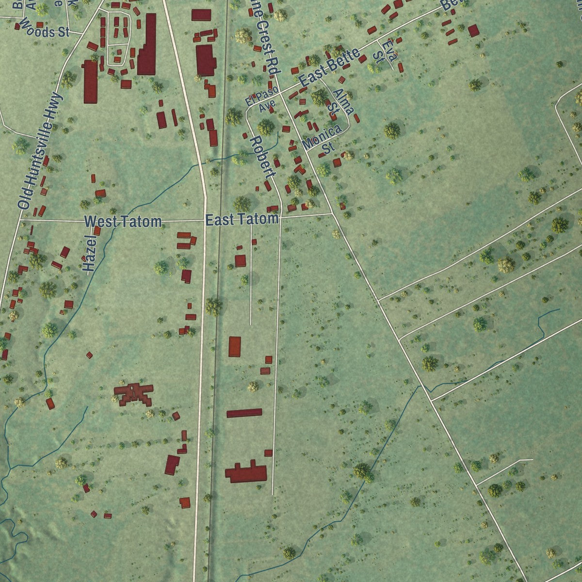 Second close-up of the map of Trinity, Texas print showing more streets and buildings