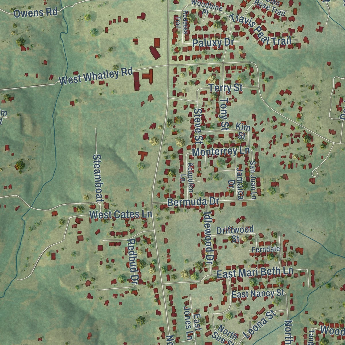 Second close-up of the map of White Oak, Texas print showing more streets and buildings