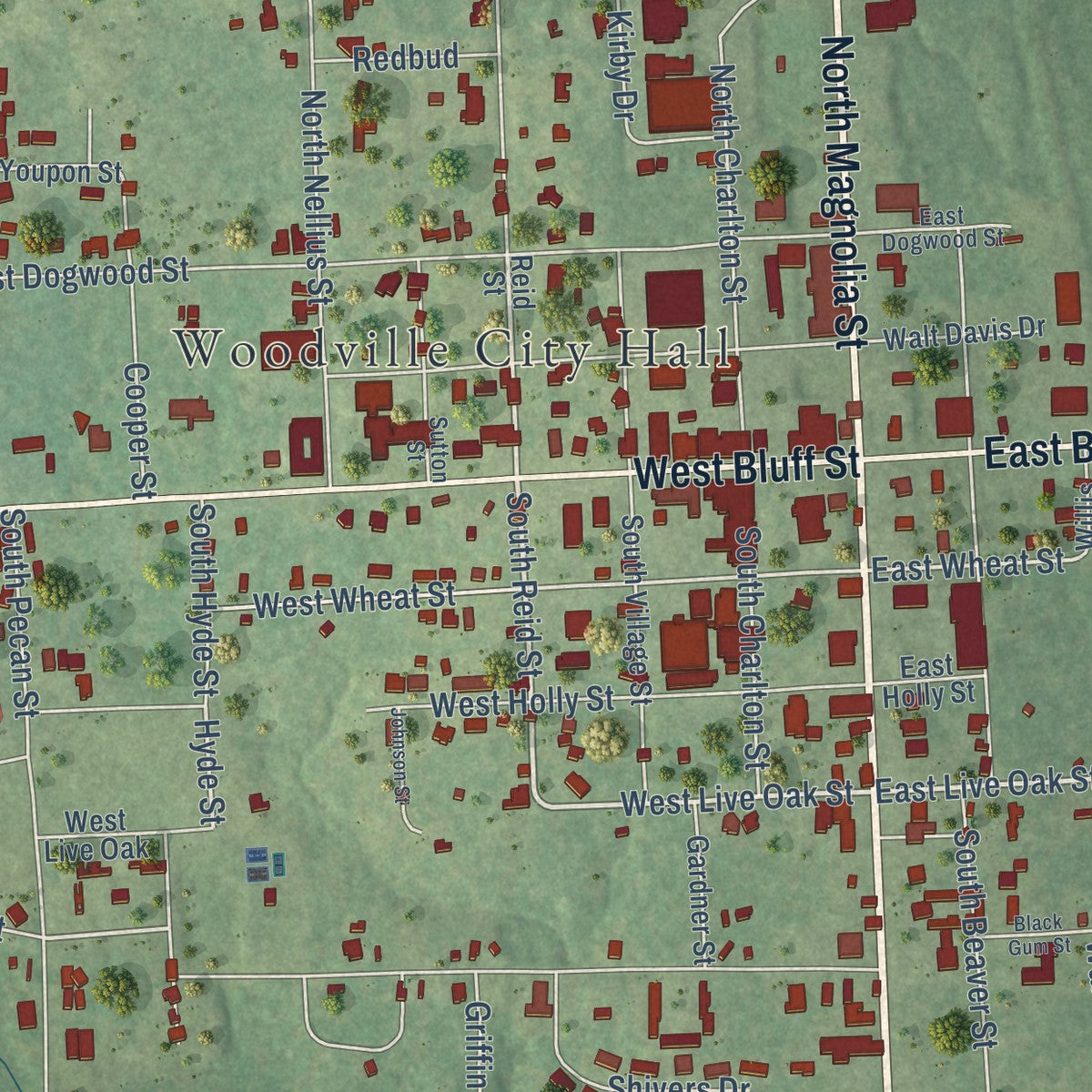 Close-up of the map of Woodville, Texas print showing street and building detail