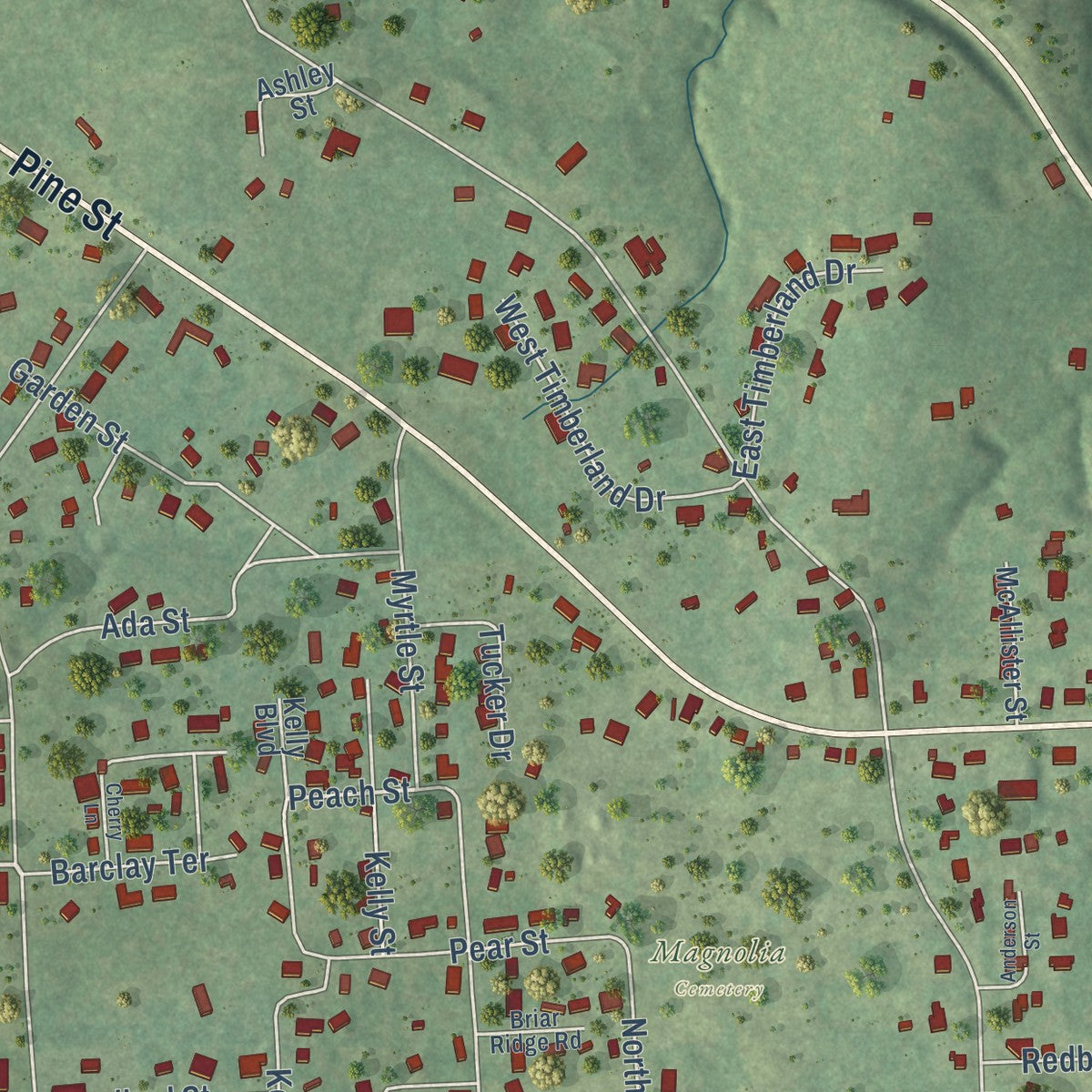 Second close-up of the map of Woodville, Texas print showing more streets and buildings