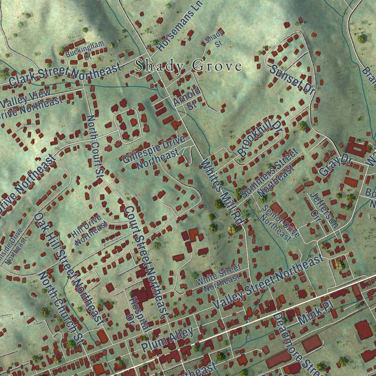 Close-up of the map of Abingdon, Virginia print showing street and building detail