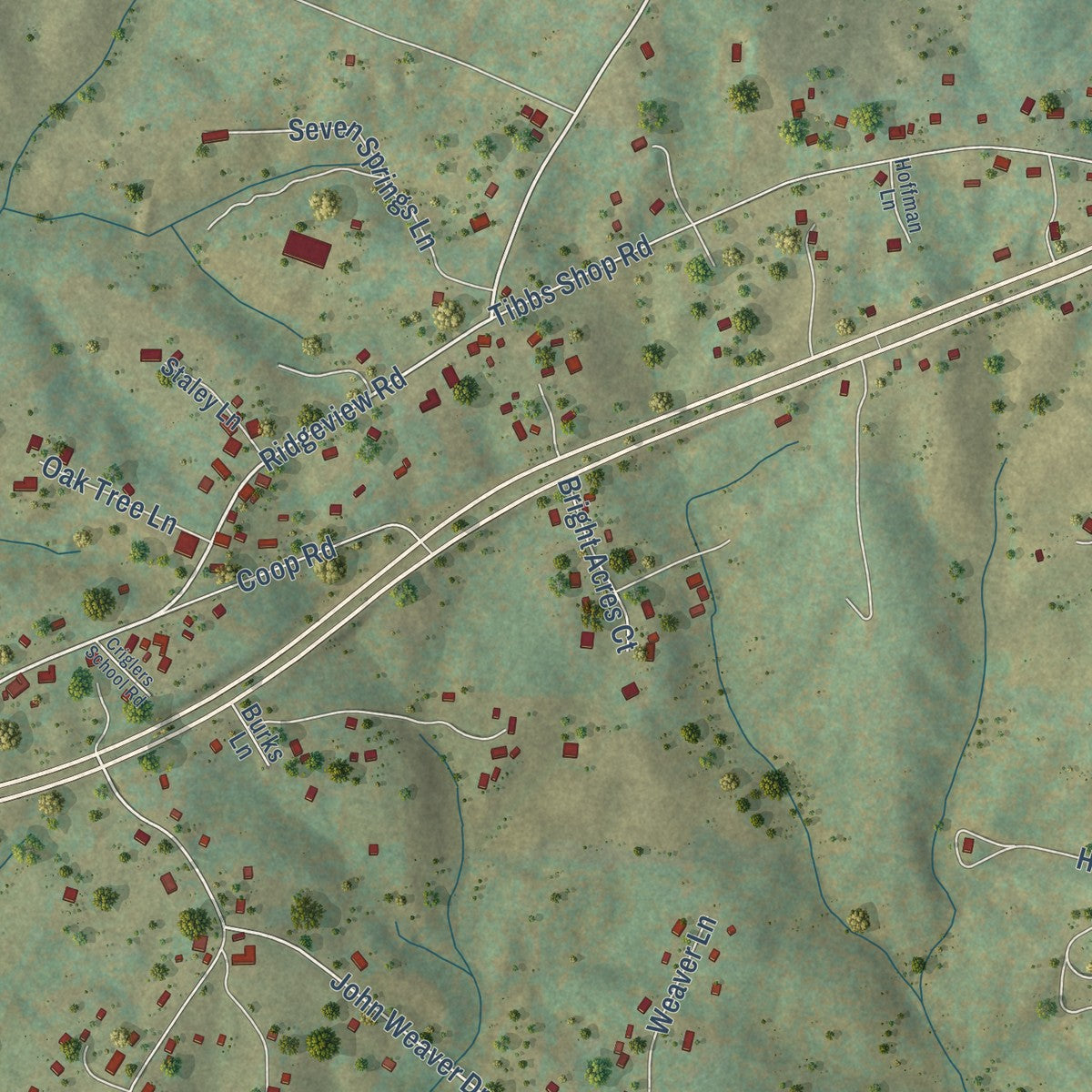 Close-up of the map of Brightwood, Virginia print showing street and building detail