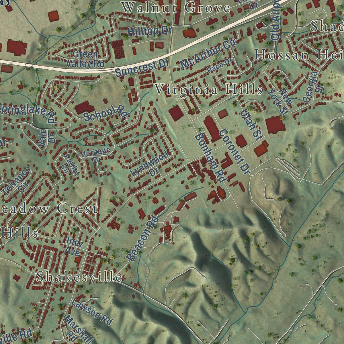 Close-up of the map of Bristol, Virginia print showing street and building detail
