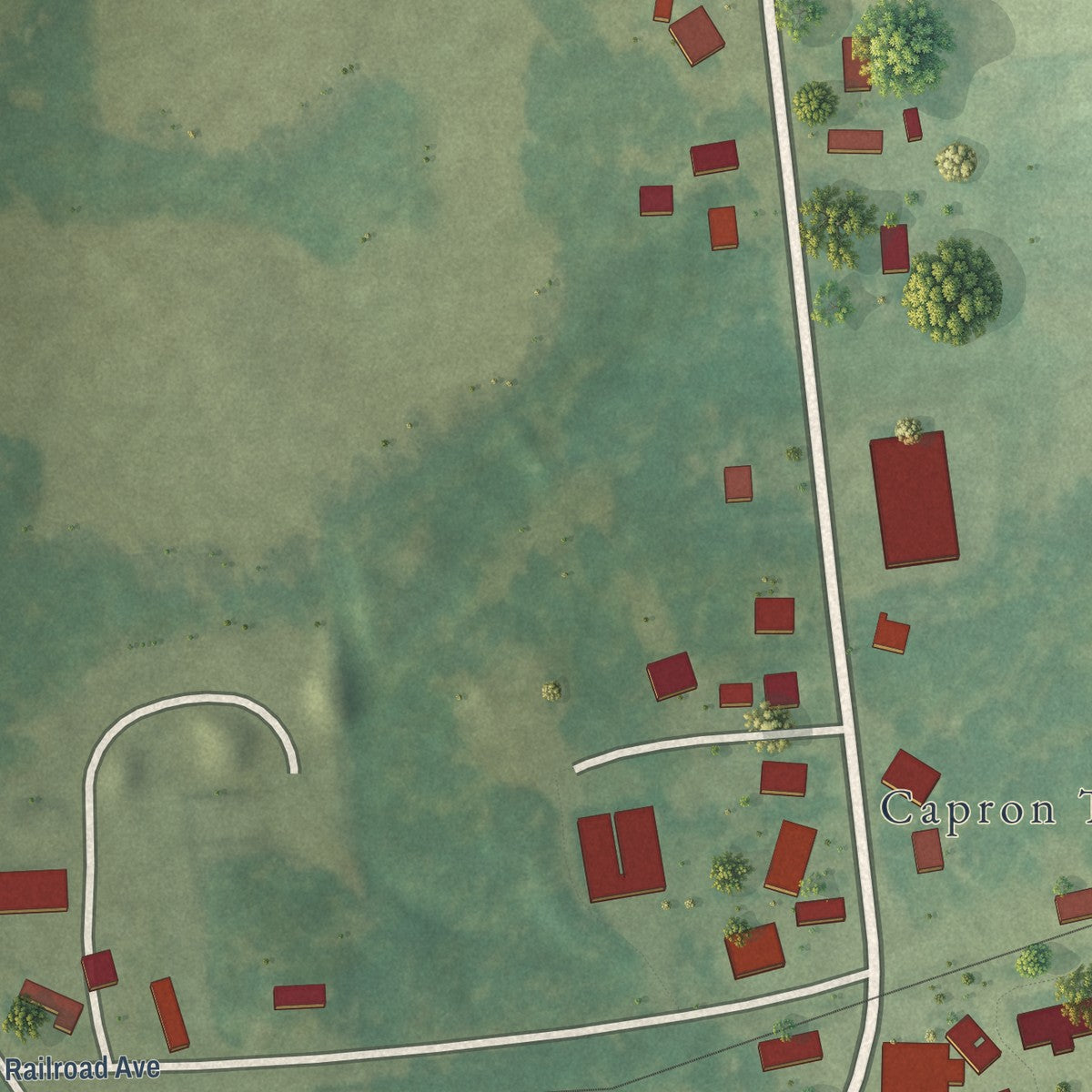 Second close-up of the map of Capron, Virginia print showing more streets and buildings
