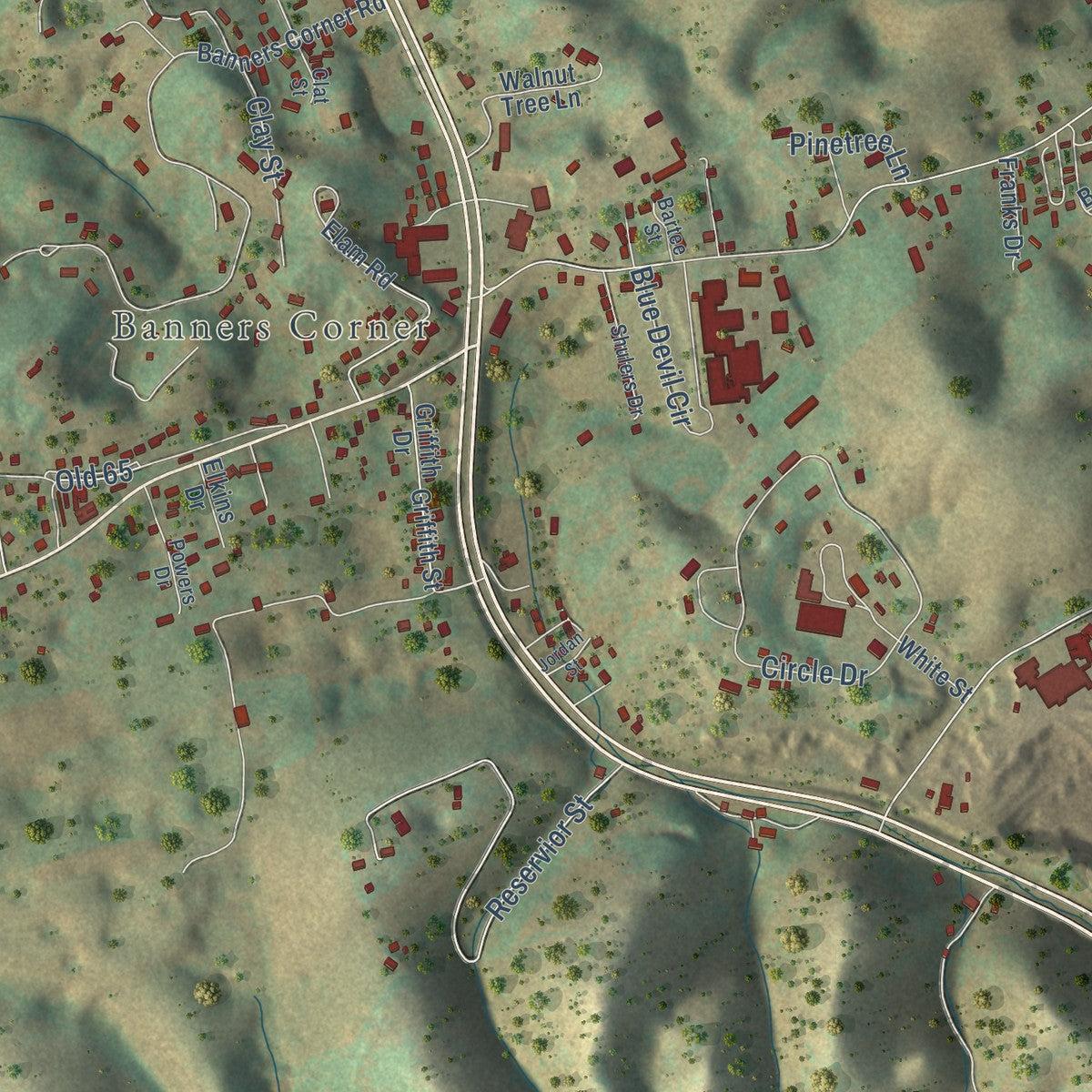 Close-up of the map of Castlewood, Virginia print showing street and building detail