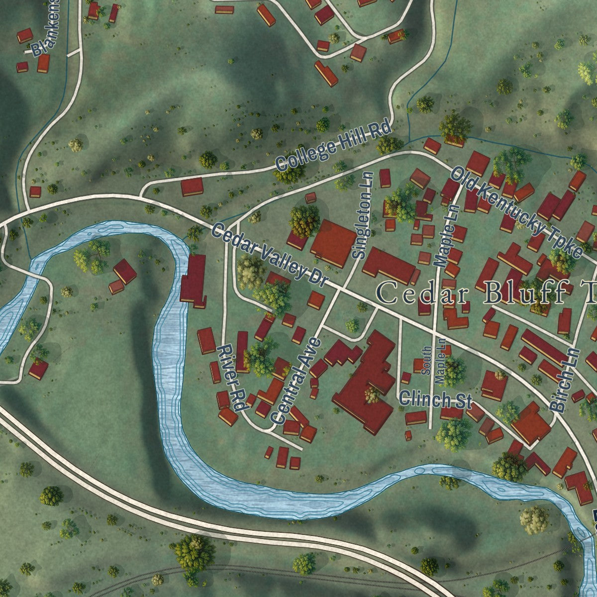 Close-up of the map of Cedar Bluff, Virginia print showing street and building detail