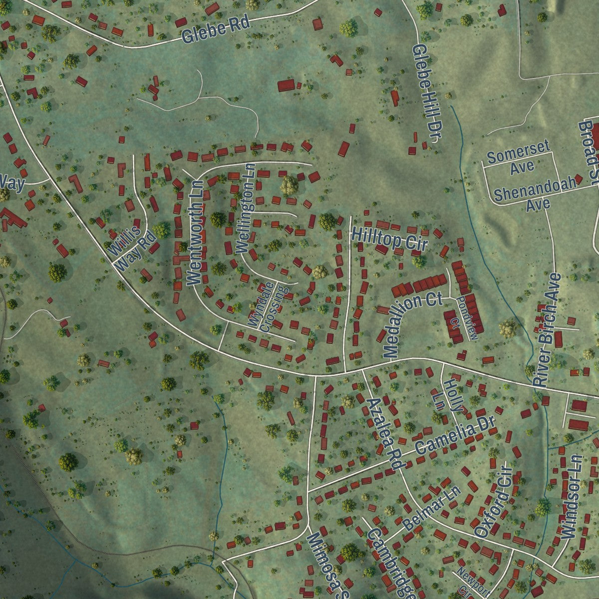 Close-up of the map of Daleville, Virginia print showing street and building detail