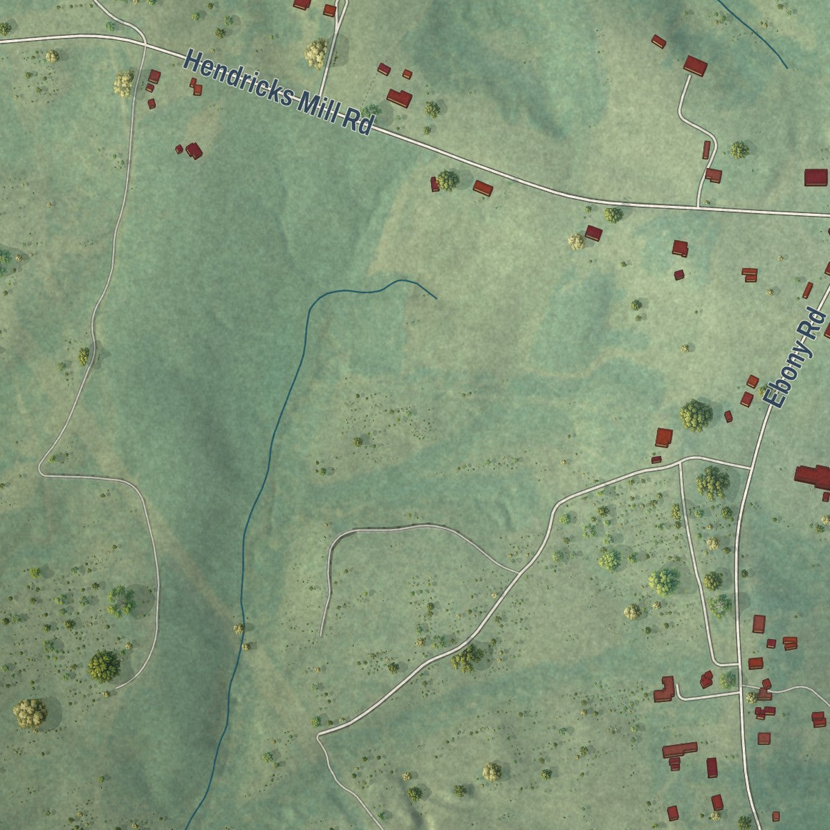 Close-up of the map of Ebony, Virginia print showing street and building detail