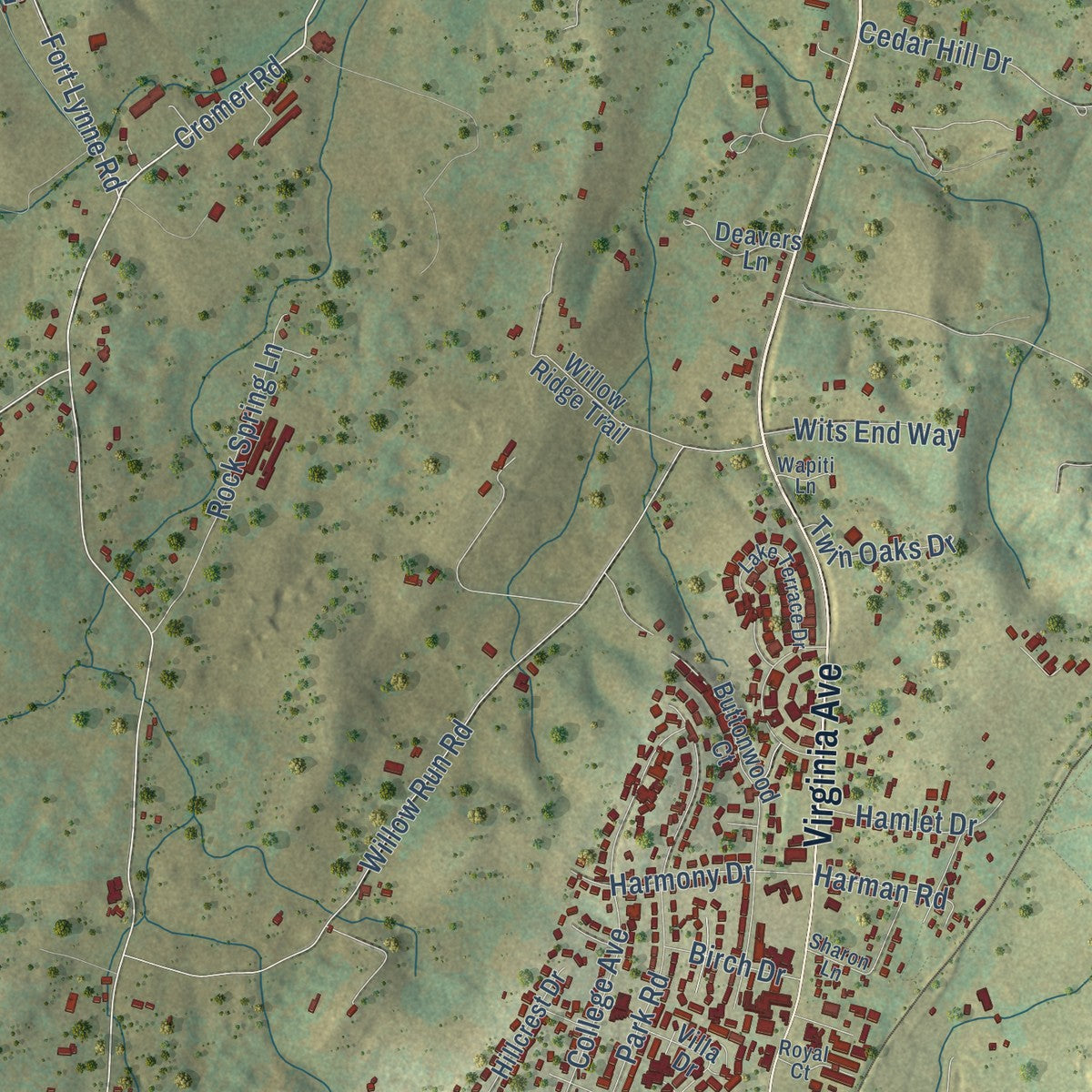Close-up of the map of Edom, Virginia print showing street and building detail