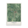 Map of Farmville, Virginia, 12 x 18 inch unframed archival matte print