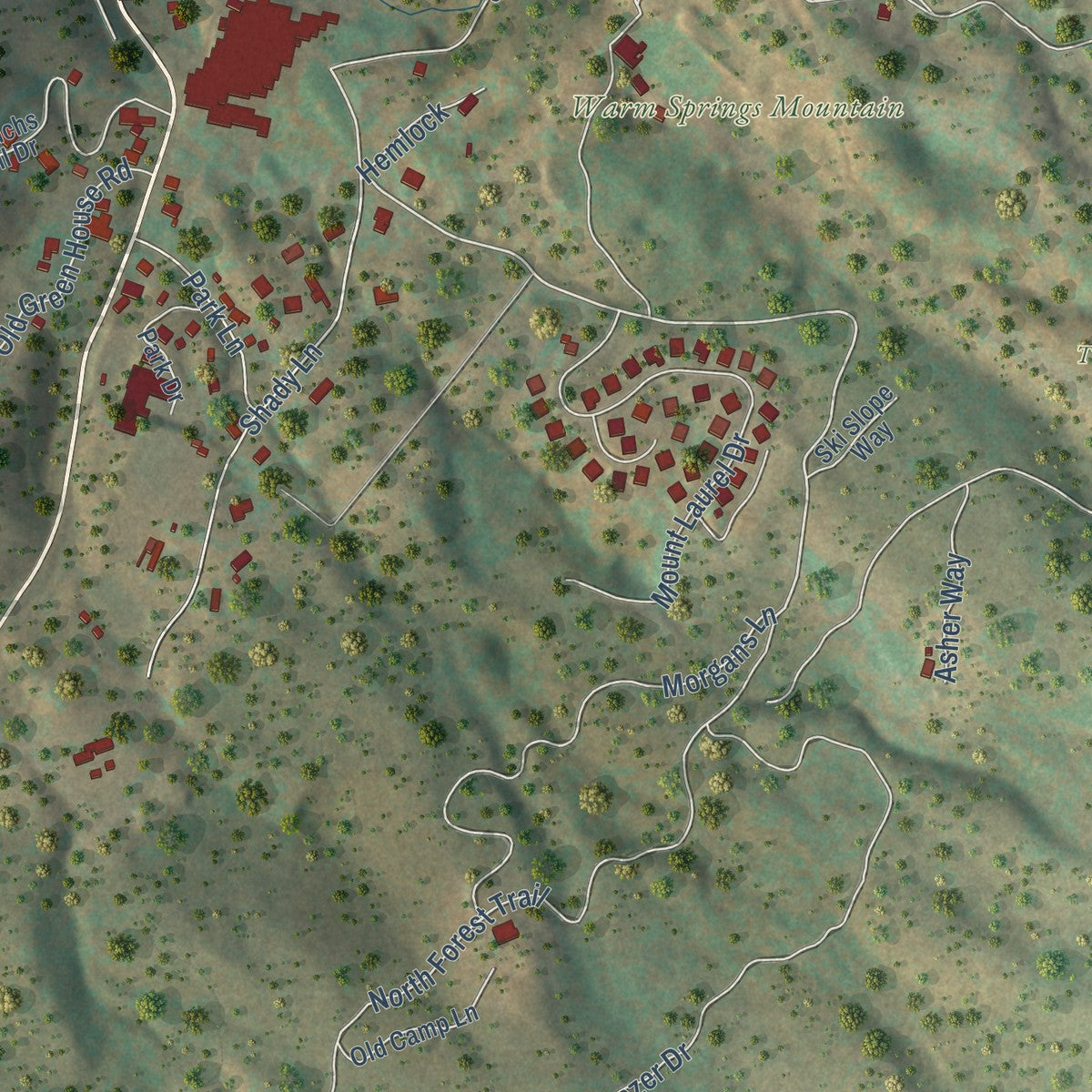Close-up of the map of Hot Springs, Virginia print showing street and building detail