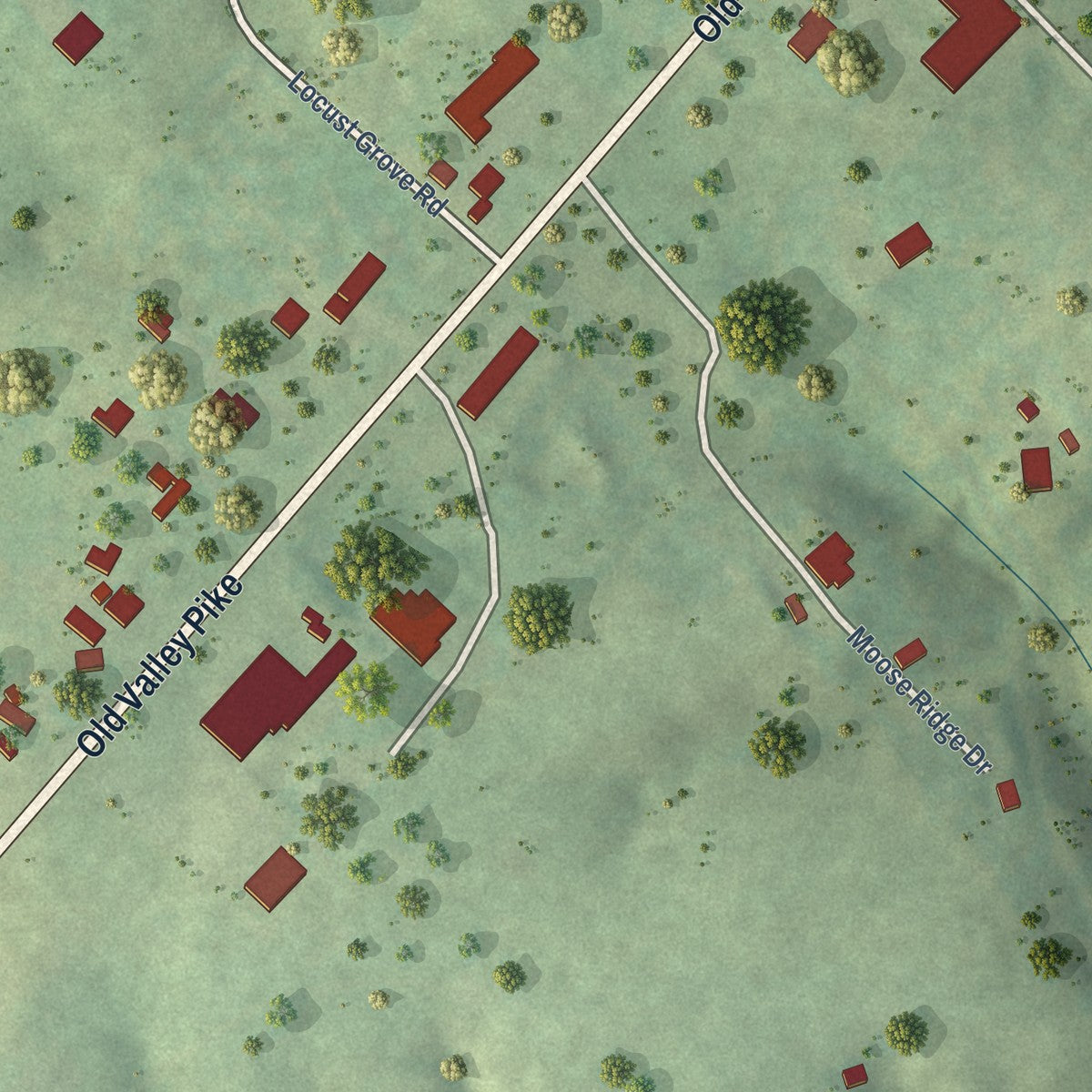 Close-up of the map of Locust Grove, Virginia print showing street and building detail