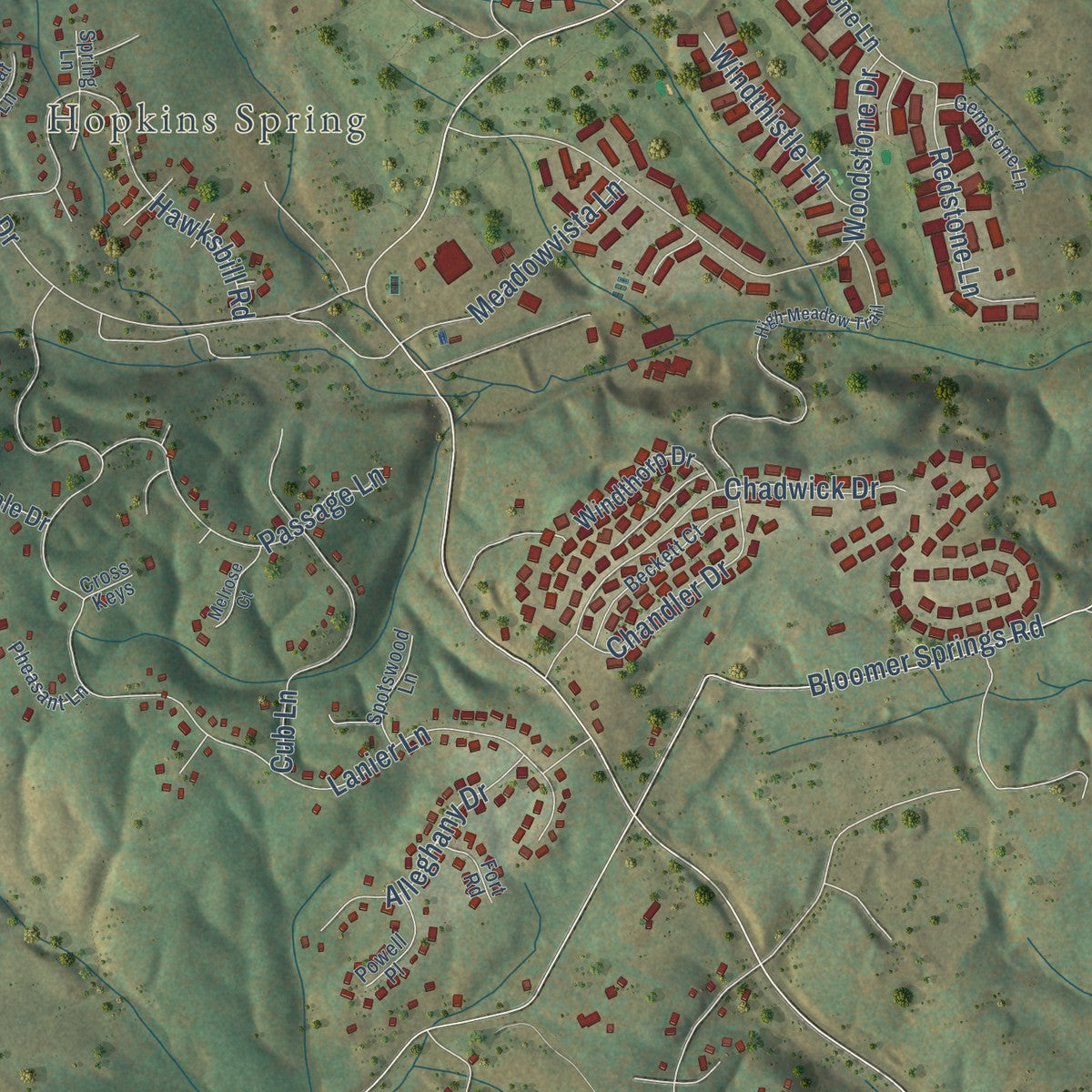 Close-up of the map of Massanutten, Virginia print showing street and building detail
