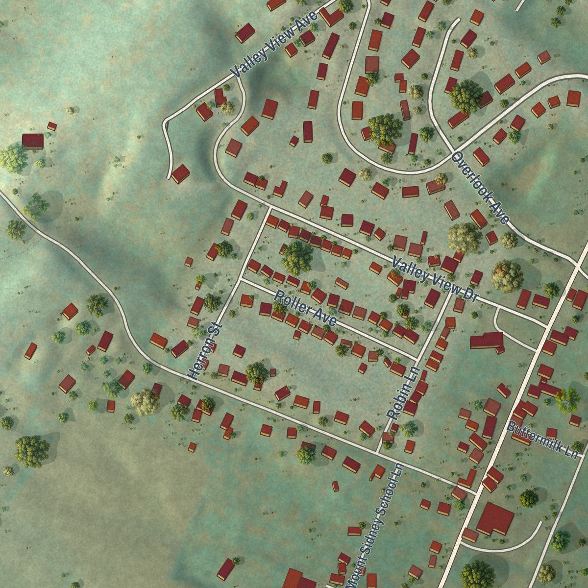 Close-up of the map of Mount Sidney, Virginia print showing street and building detail